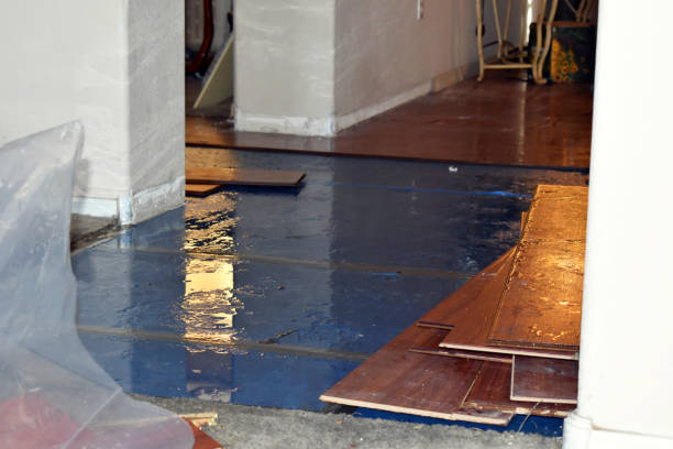 Professional Water Damage Restoration technician working in Liberty, TX